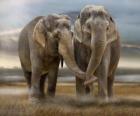 Δύο μεγάλες ελέφαντες με συνυφασμένη κορμούς